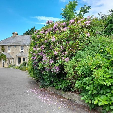 Fairwater Head Vendégház Hawkchurch Kültér fotó