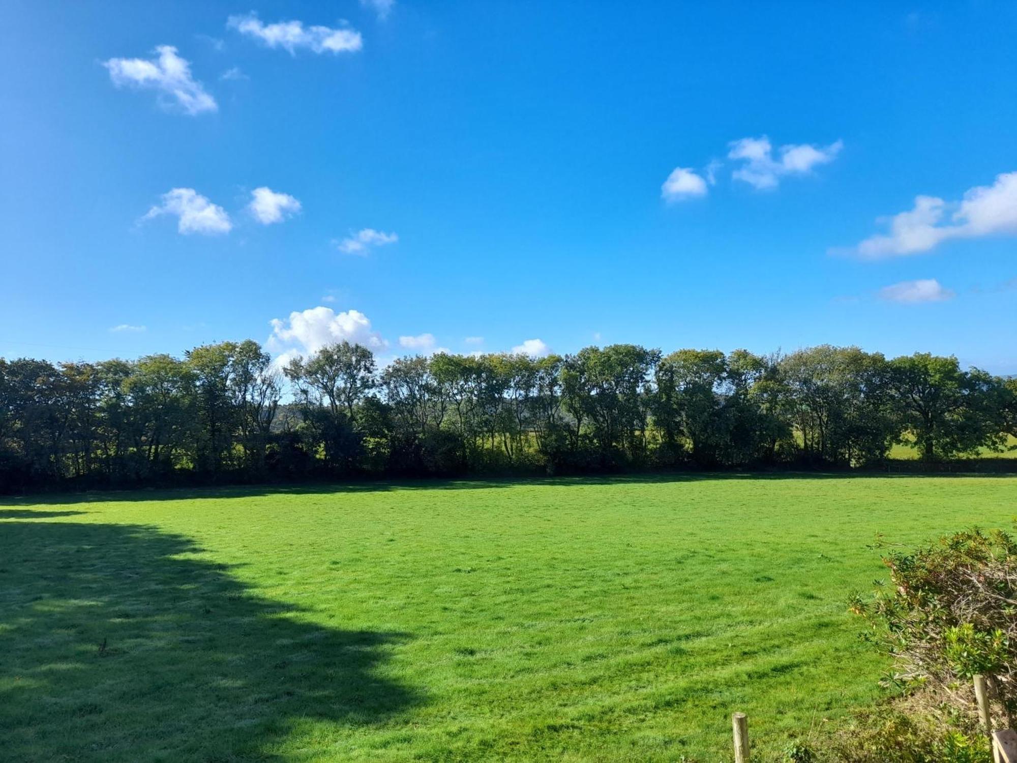 Fairwater Head Vendégház Hawkchurch Szoba fotó